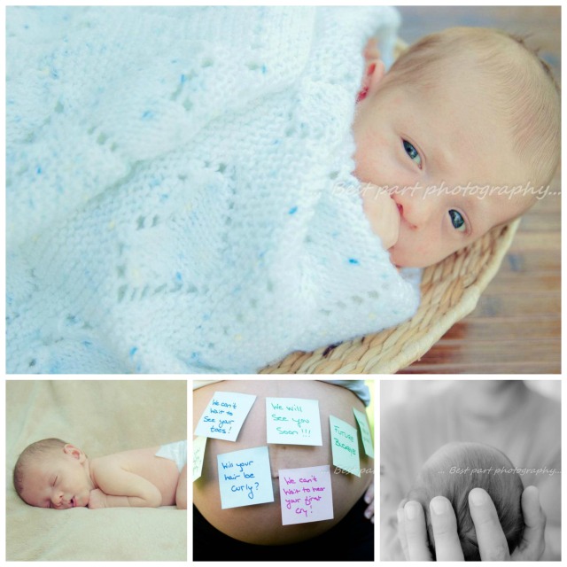 westchase newborn photographer